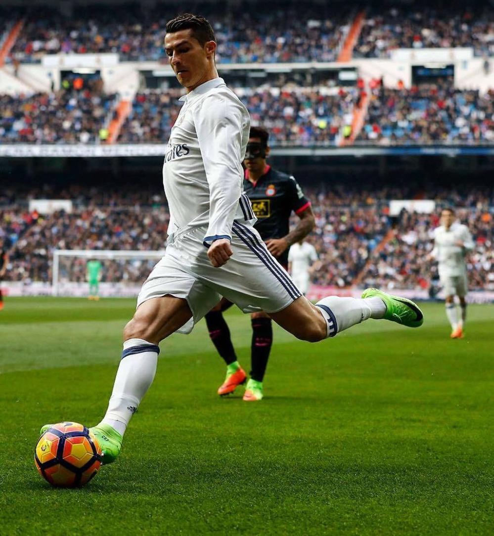 是幸存的范 是幸存的范