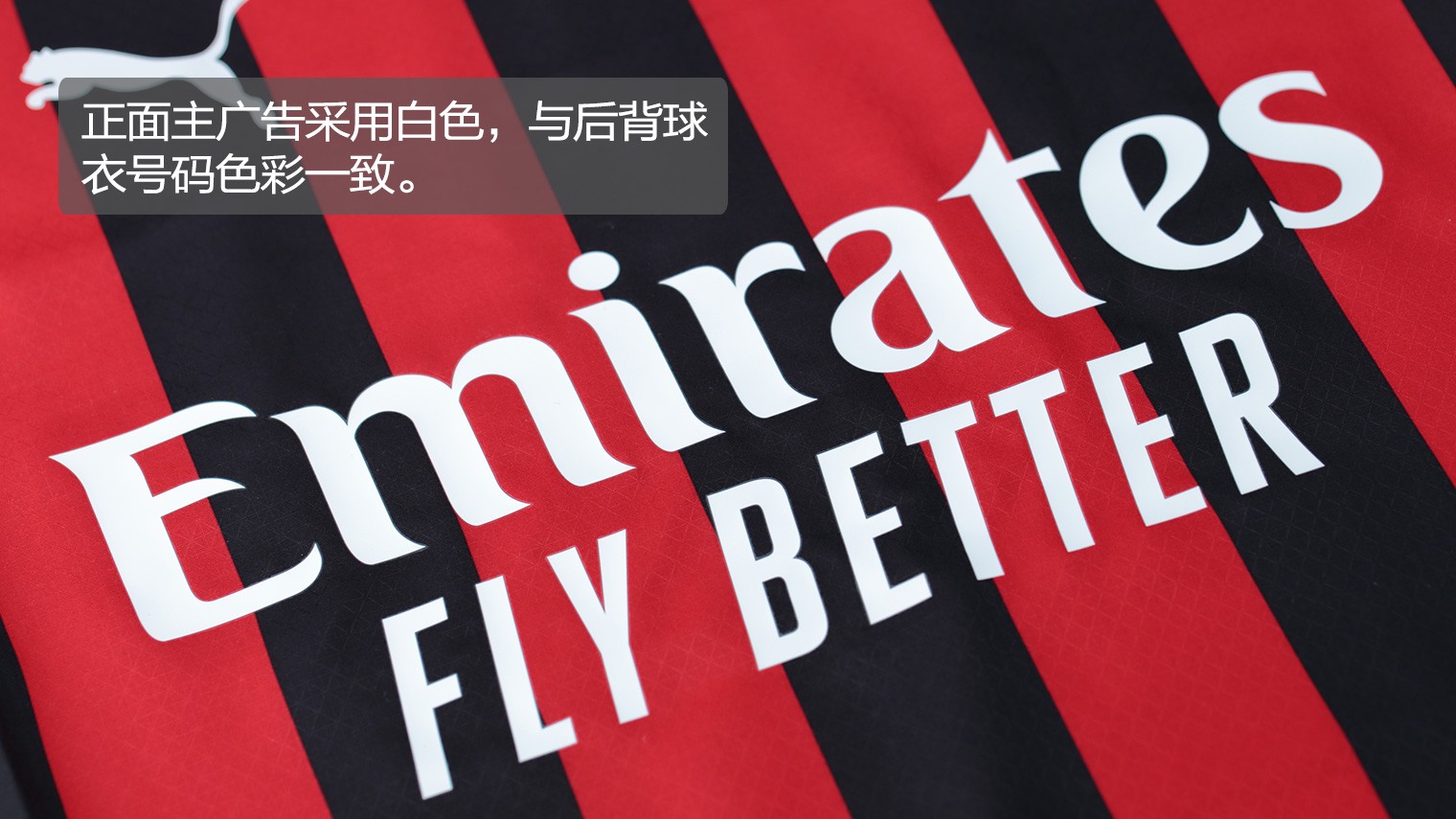 能力证据比 能力证据比